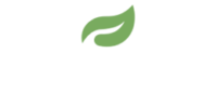 Fresh